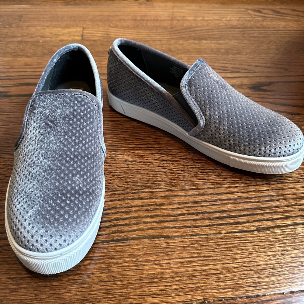Steve Madden, gray velvet sneaker